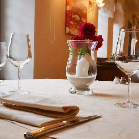 埃里卡别墅酒店 酒店