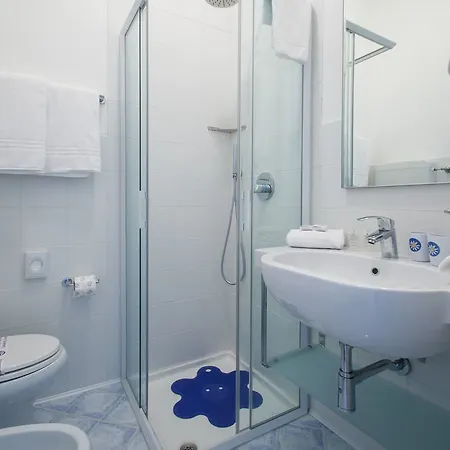 Hotel Erica 4*